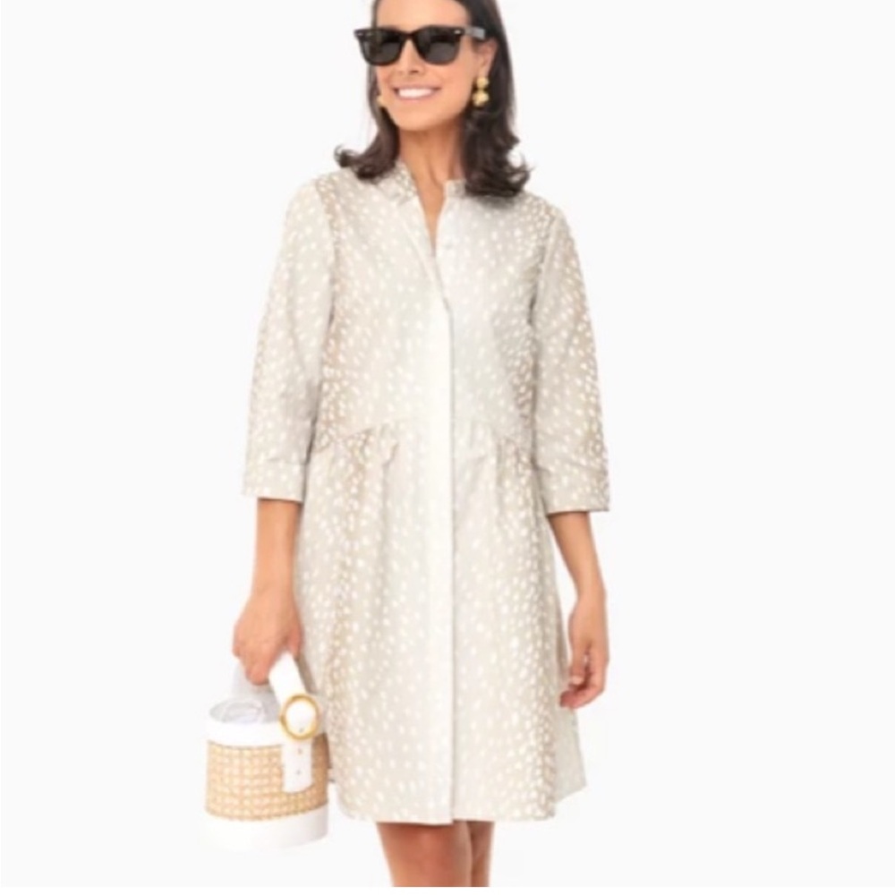 Tuckernuck Antelope Royal Shirt Dress size XL